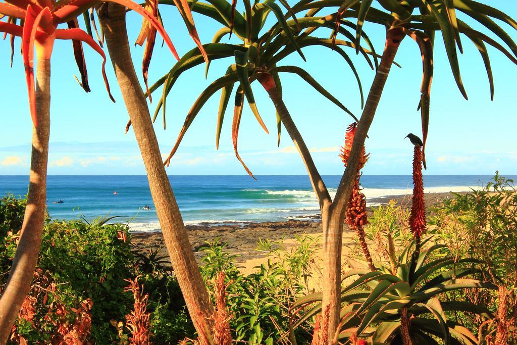 Отель Beach House Джефрис-Бей Экстерьер фото